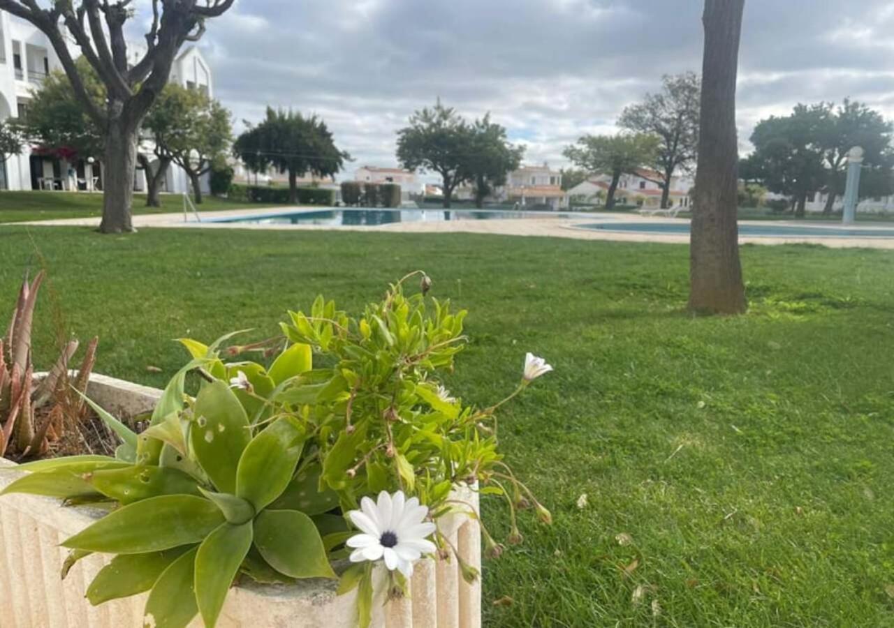 Appartement Title E Title - Oura